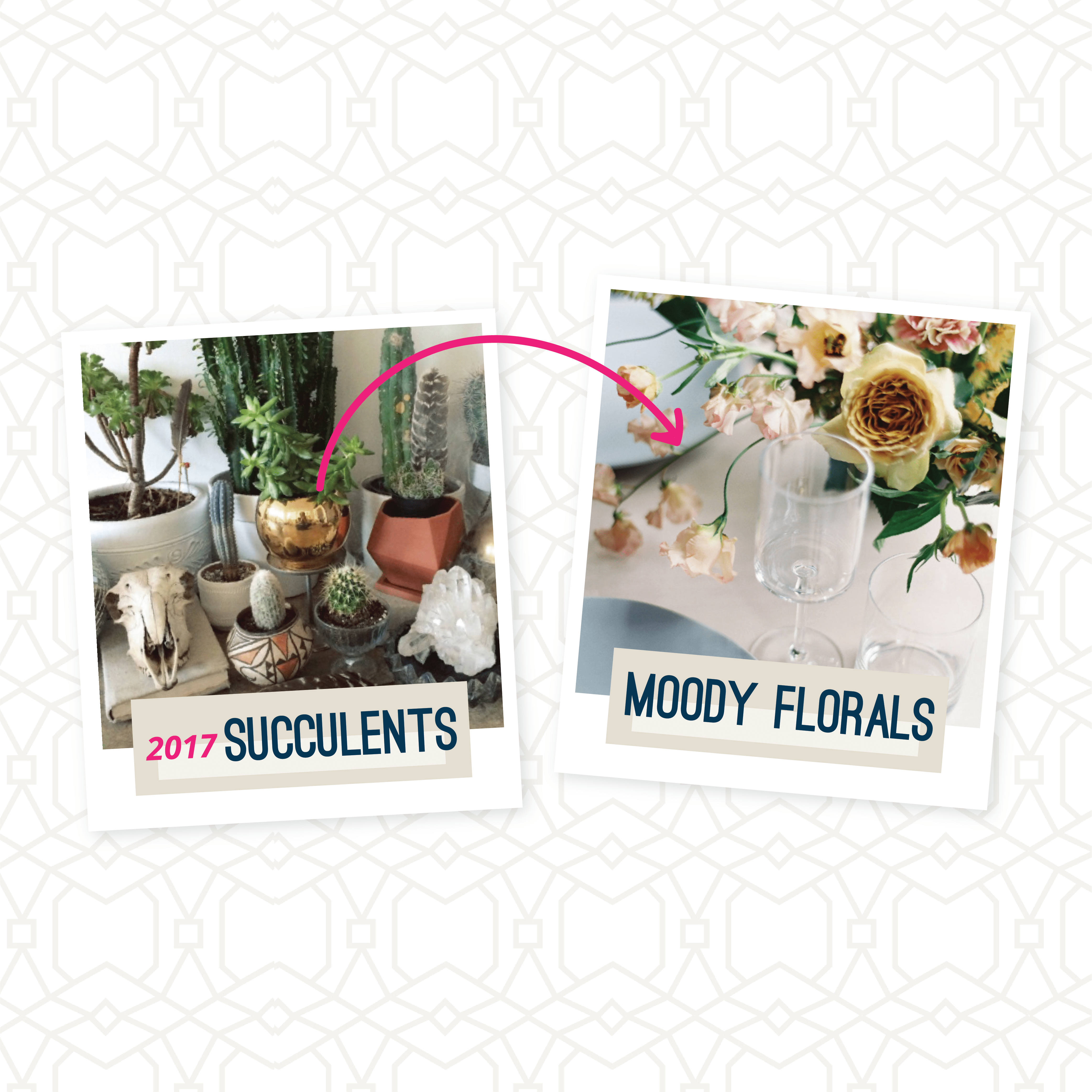 succulents and floral decorations