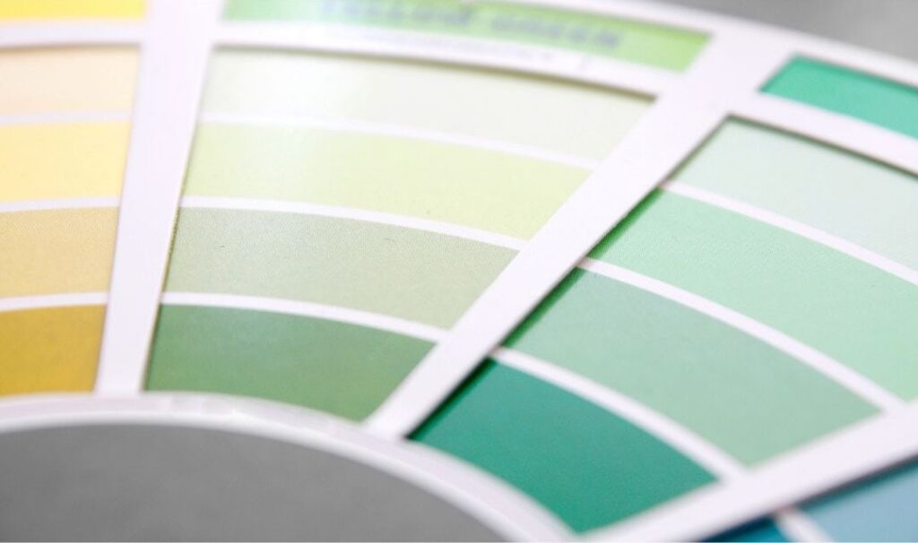 color chips on a color wheel